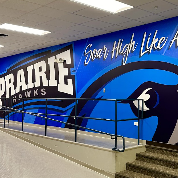 2.-Wall-Graphics-Murals
