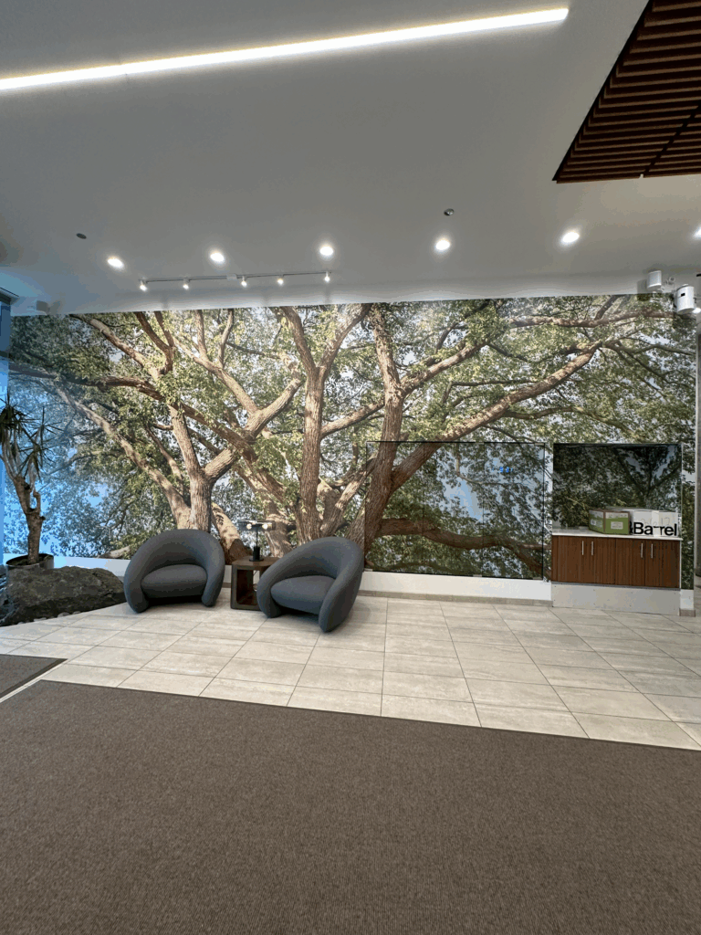 Wall-Graphics-Murals-5