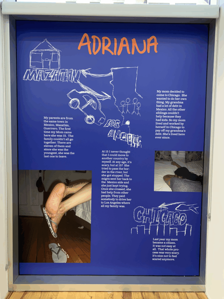 Window-Graphics-Treatments-6